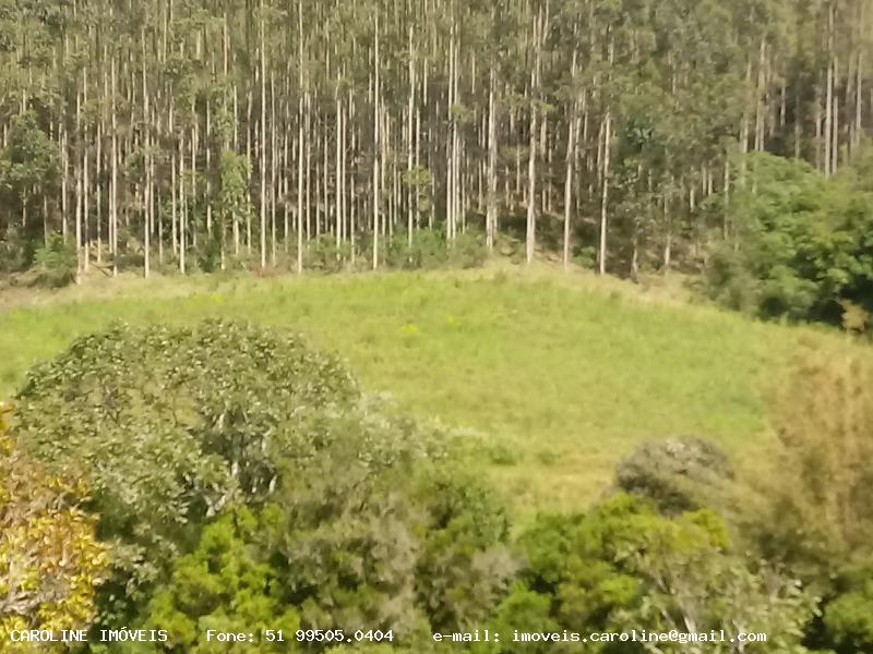 Loteamento e Condomínio, 9 hectares - Foto 1