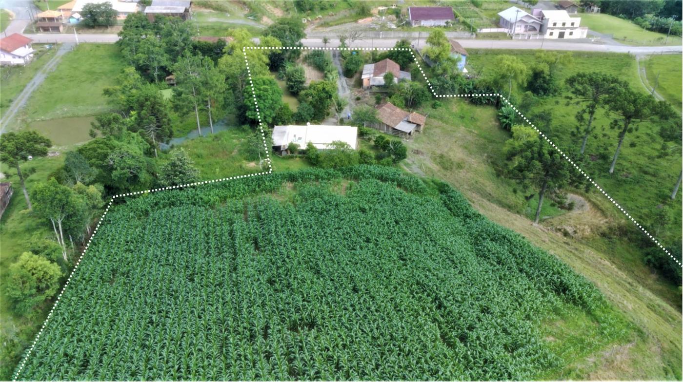 Fazenda à venda com 2 quartos, 37800m² - Foto 20