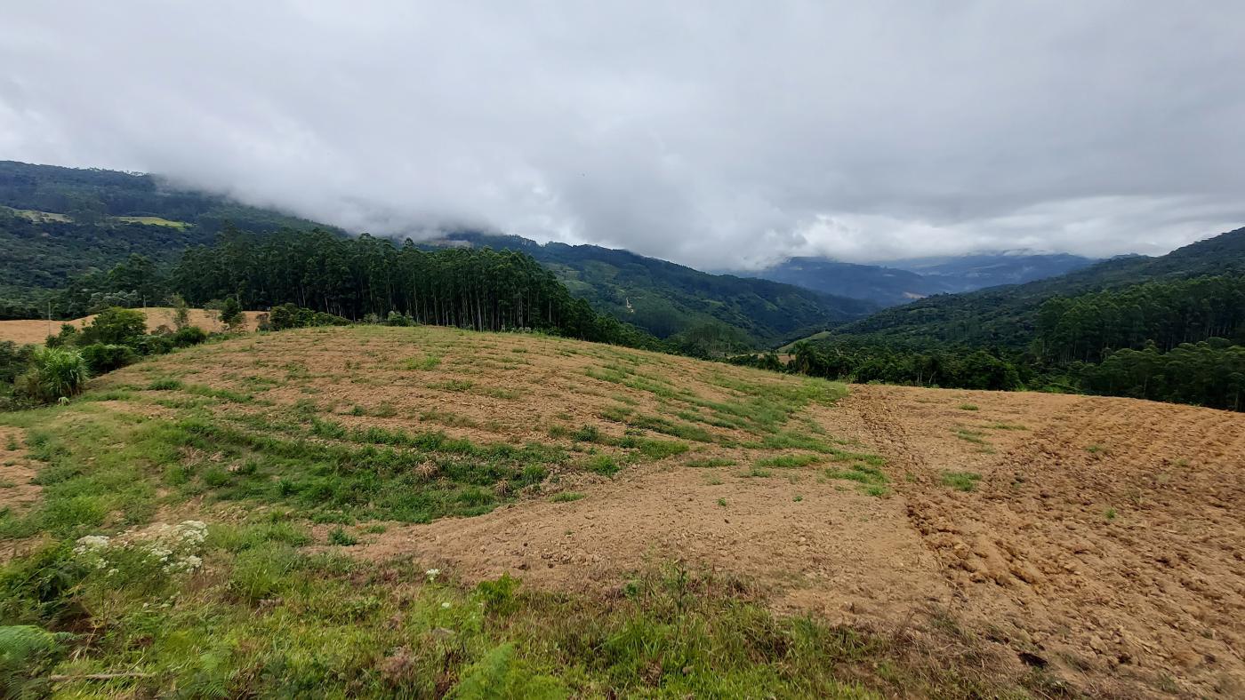 Fazenda à venda com 3 quartos, 260000m² - Foto 16