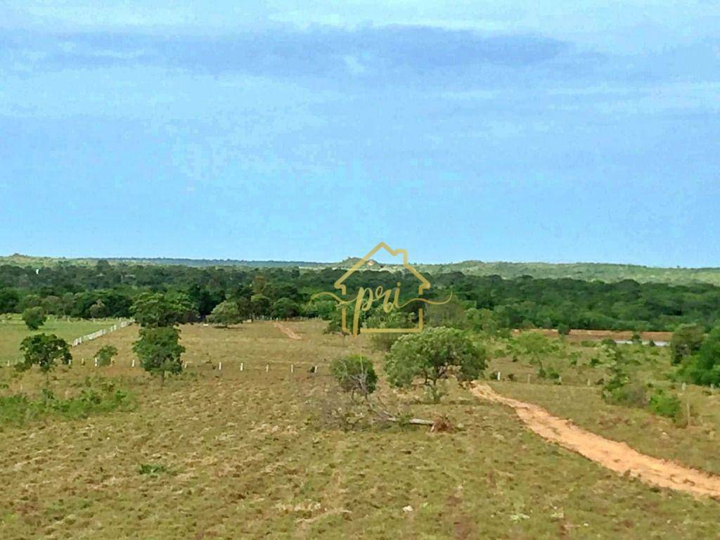 Fazenda à venda com 3 quartos, 250m² - Foto 21