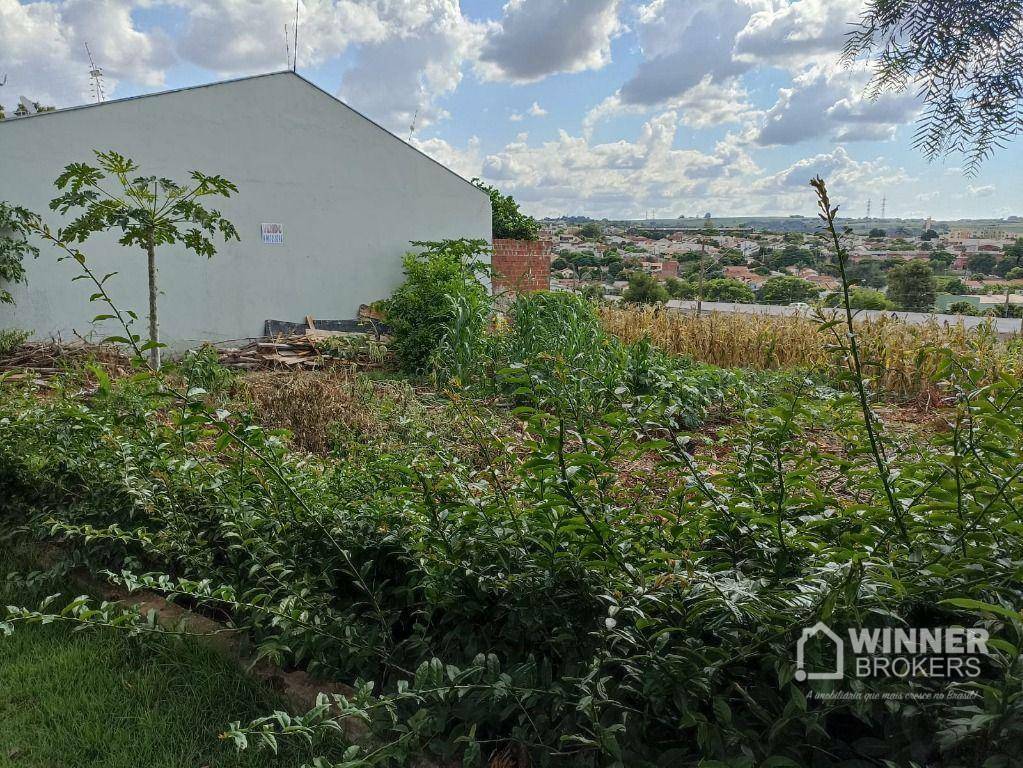 Terreno à venda, 530M2 - Foto 3