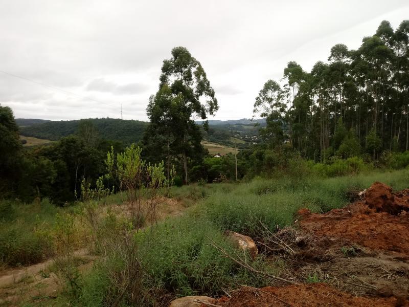 Fazenda à venda, 5000m² - Foto 6