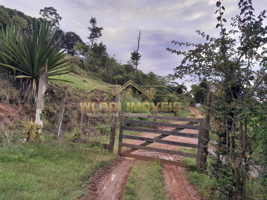 Fazenda à venda com 3 quartos, 34000m² - Foto 5