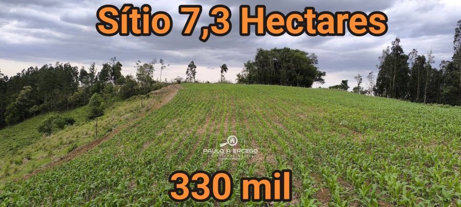 Sítio, 7 hectares - Foto 1