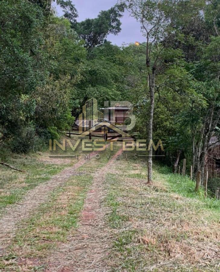 Fazenda à venda com 3 quartos, 20000m² - Foto 20