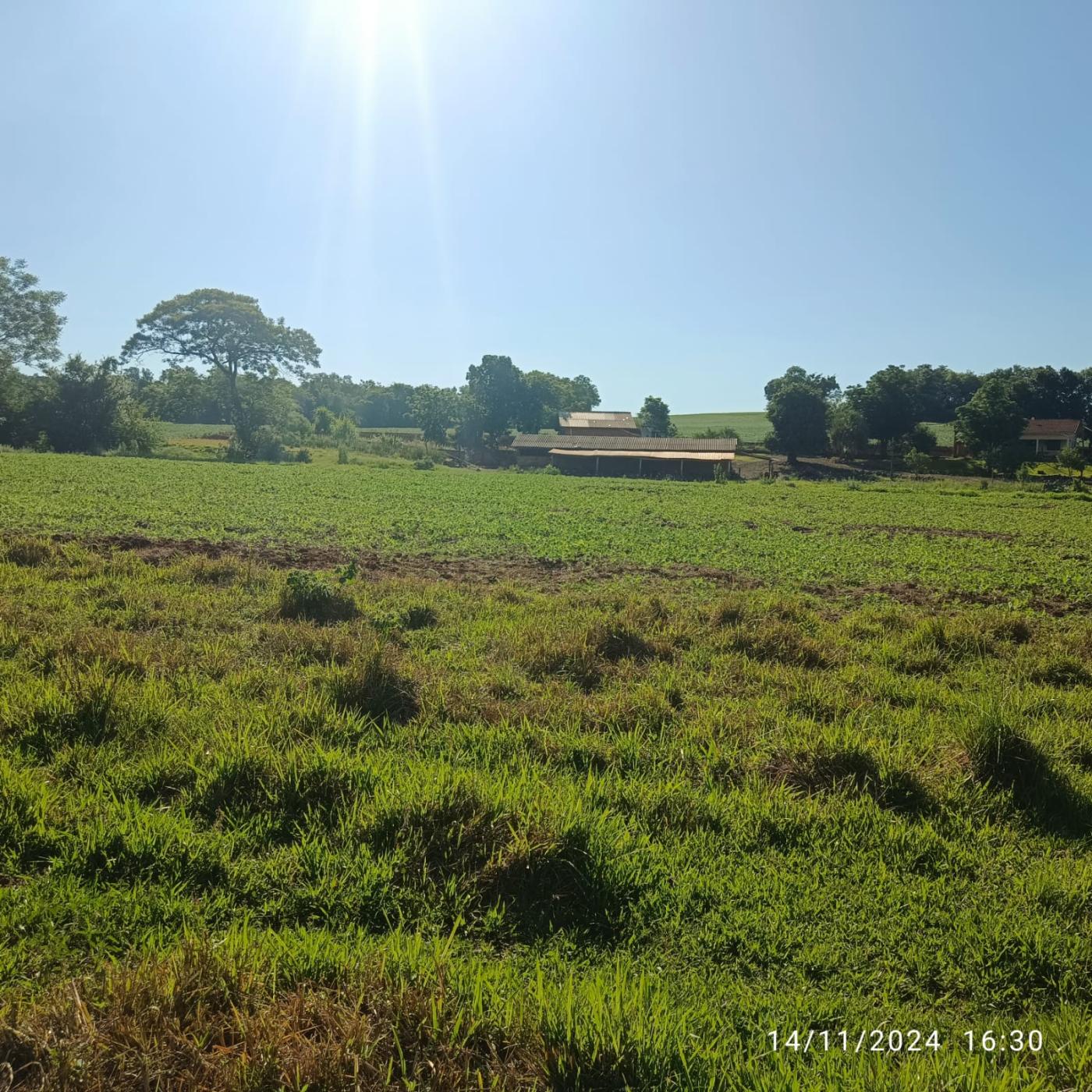 Fazenda à venda, 81160m² - Foto 26