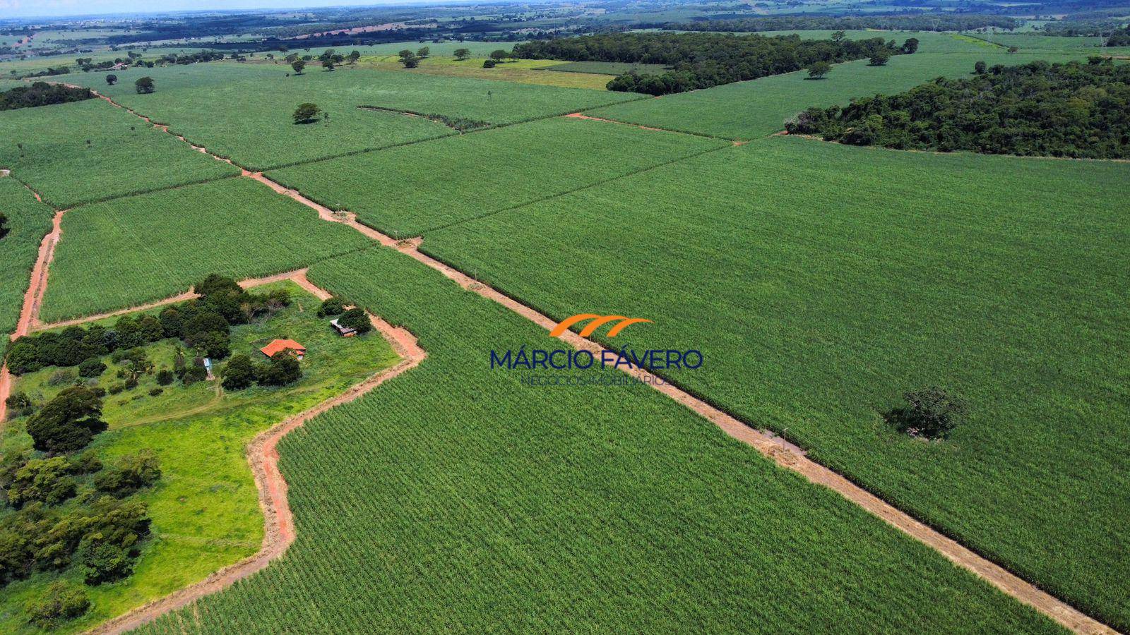 Sítio, 79 hectares - Foto 2