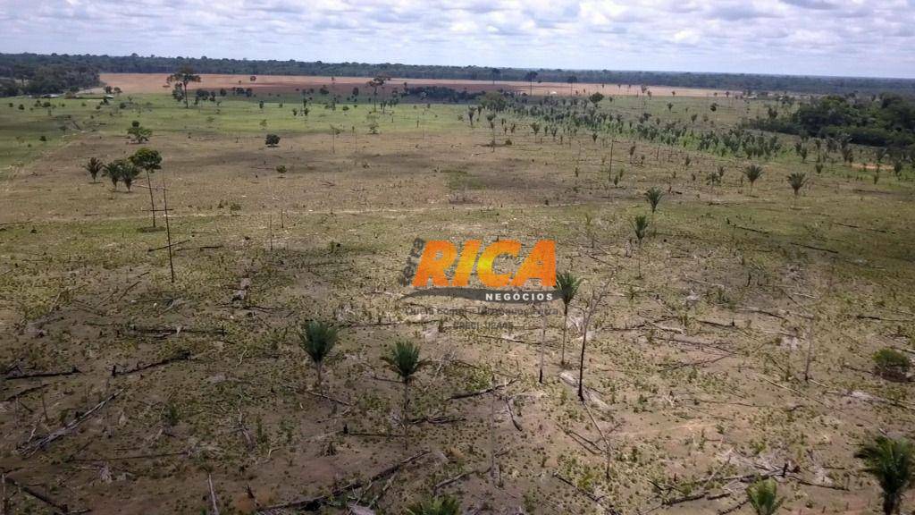 Fazenda à venda com 4 quartos, 1400000M2 - Foto 13