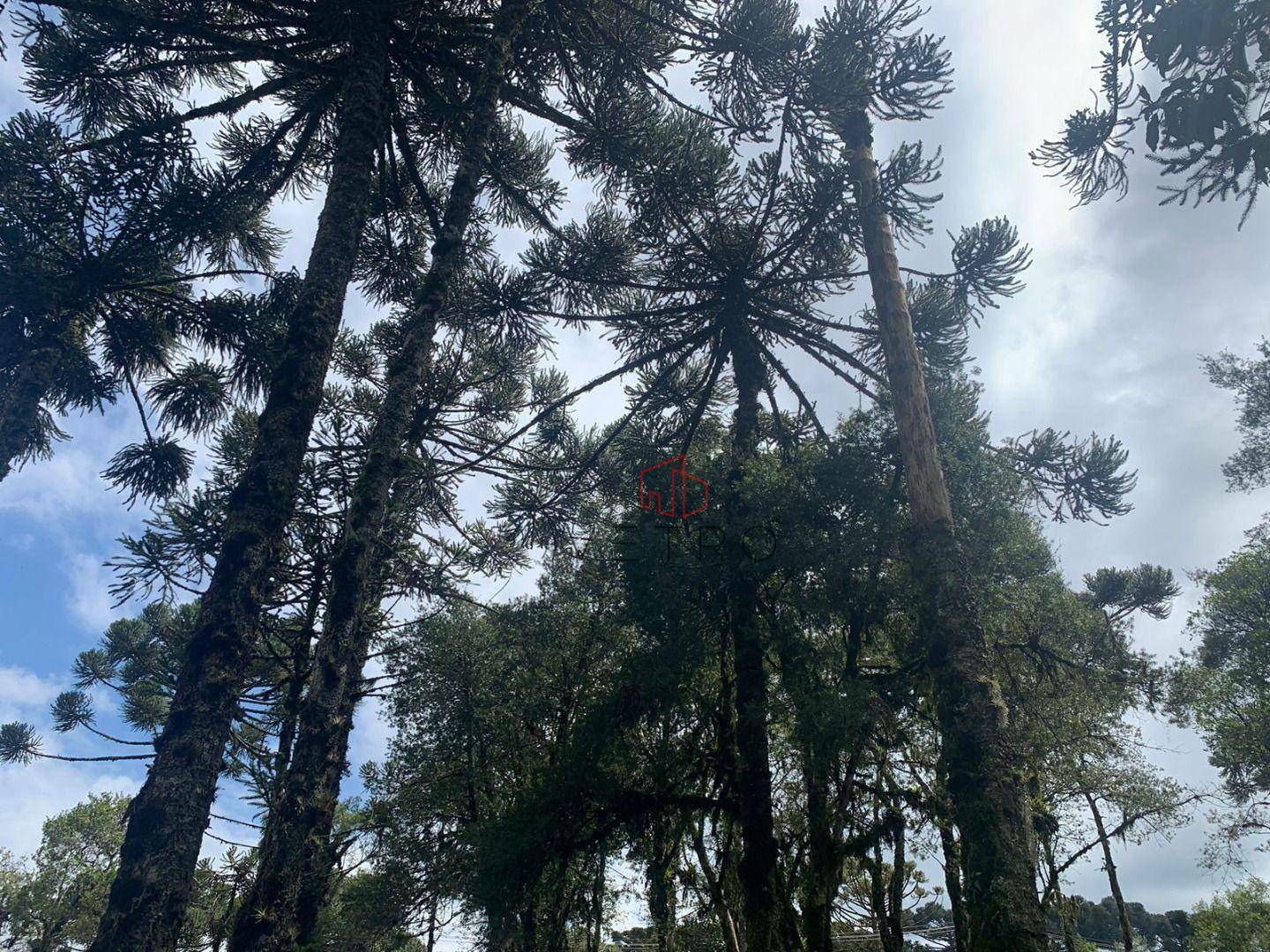 Loteamento e Condomínio à venda, 723M2 - Foto 9