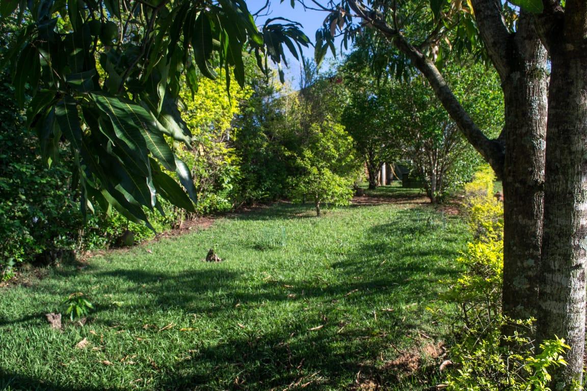 Fazenda à venda com 5 quartos, 2000m² - Foto 18