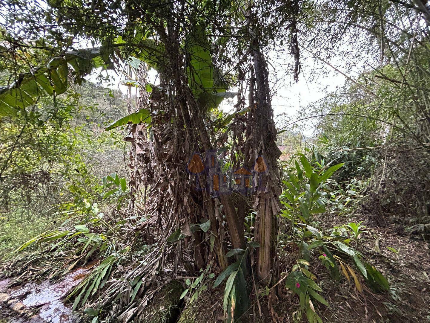 Chácara à venda com 1 quarto, 70m² - Foto 21