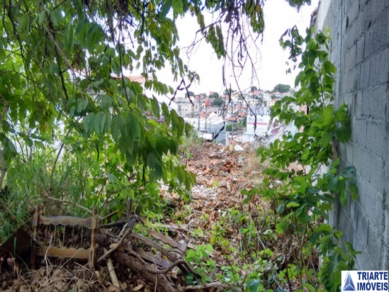 Terreno à venda, 250m² - Foto 3