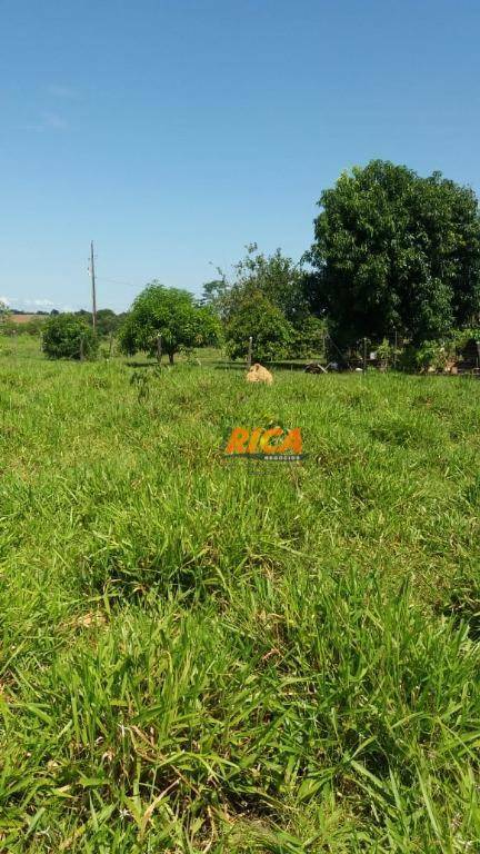 Terreno, 17 hectares - Foto 3