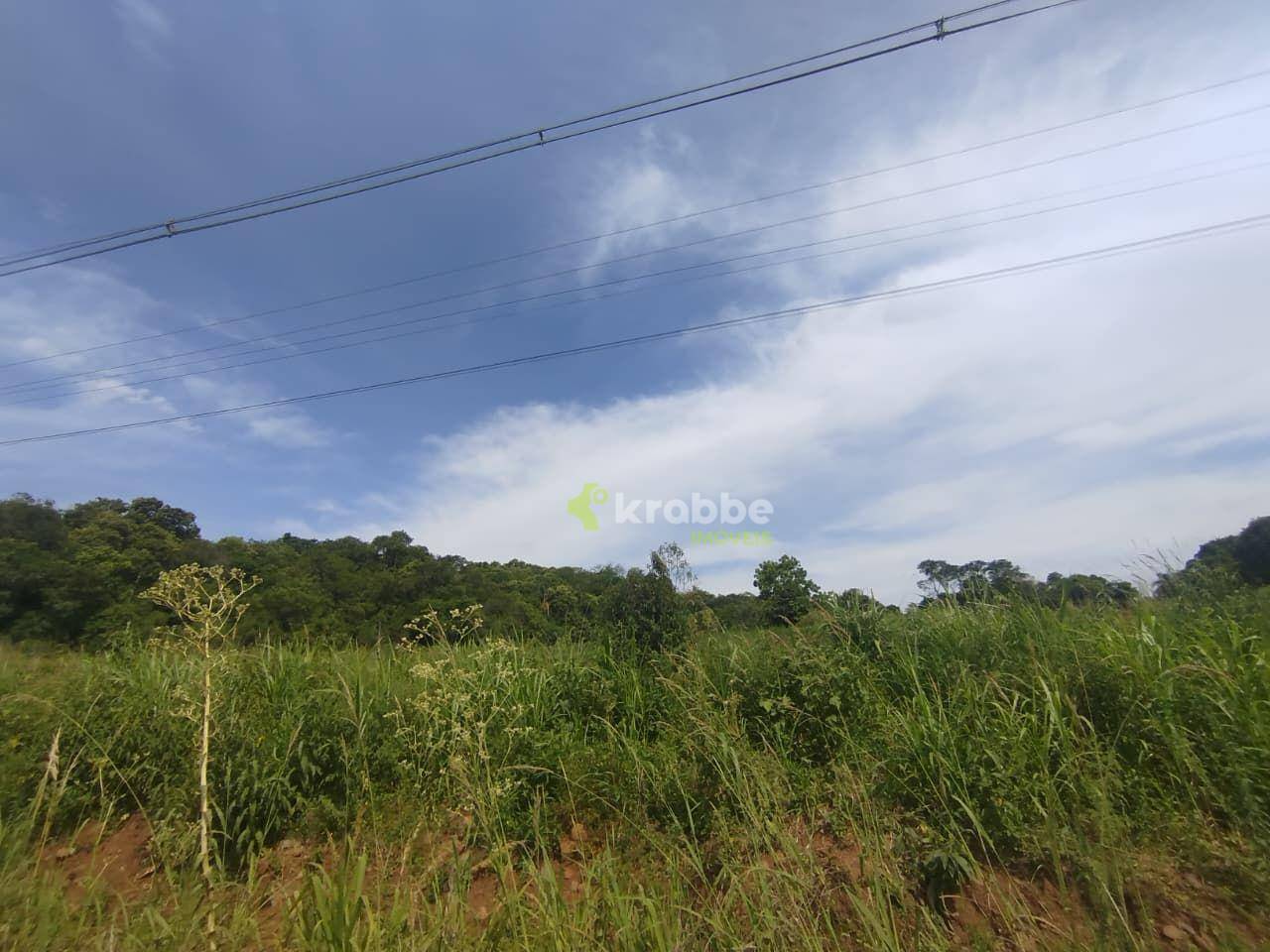 Terreno, 12 hectares - Foto 3