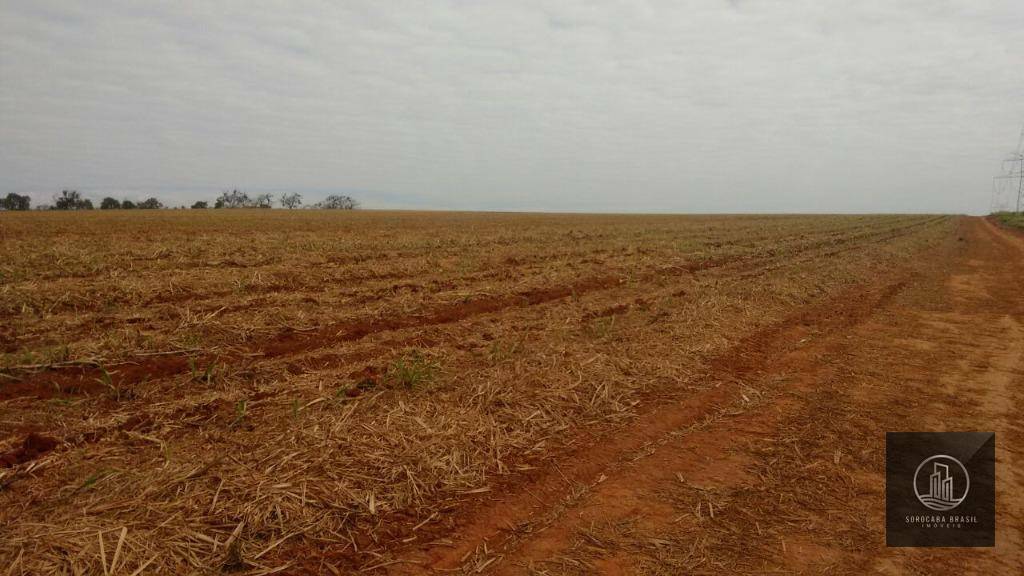 Fazenda à venda, 5324000M2 - Foto 5