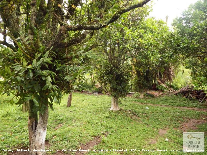 Sítio à venda com 3 quartos, 60000m² - Foto 30
