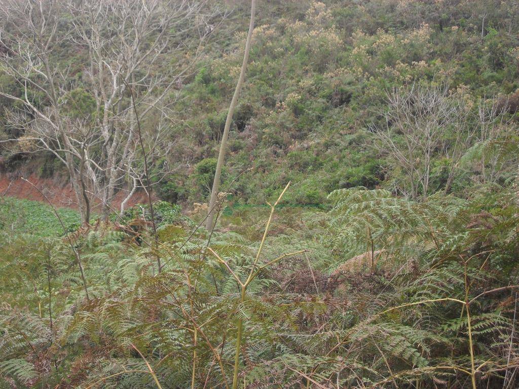 Loteamento e Condomínio à venda, 1024M2 - Foto 17