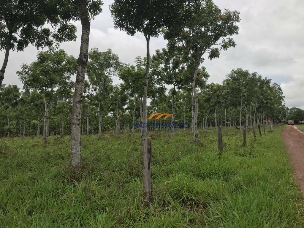 Fazenda à venda, 4250000M2 - Foto 3