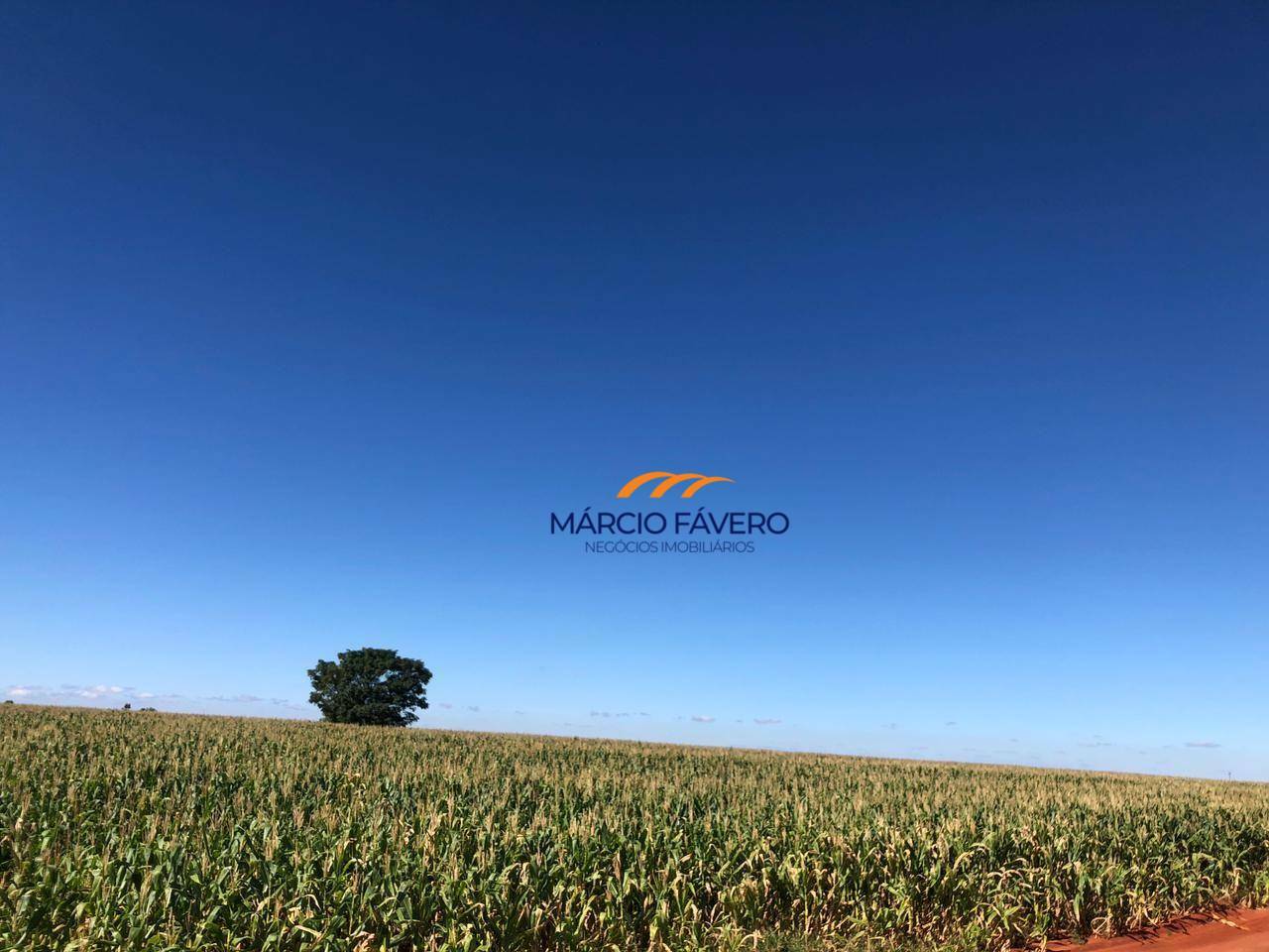 Fazenda, 581 hectares - Foto 2