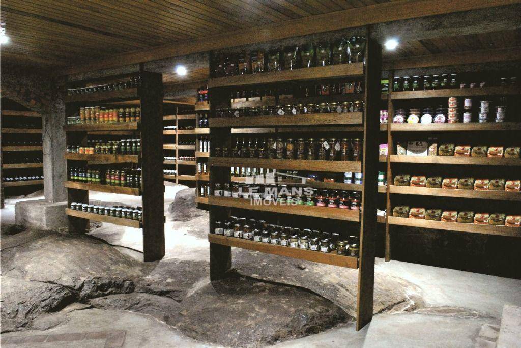 Casa, 4 quartos, 522 m² - Foto 5