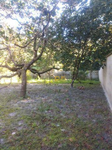 Chácara, 2 quartos, 1600 m² - Foto 18