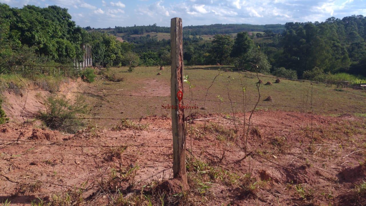 Terreno à venda, 5000m² - Foto 3