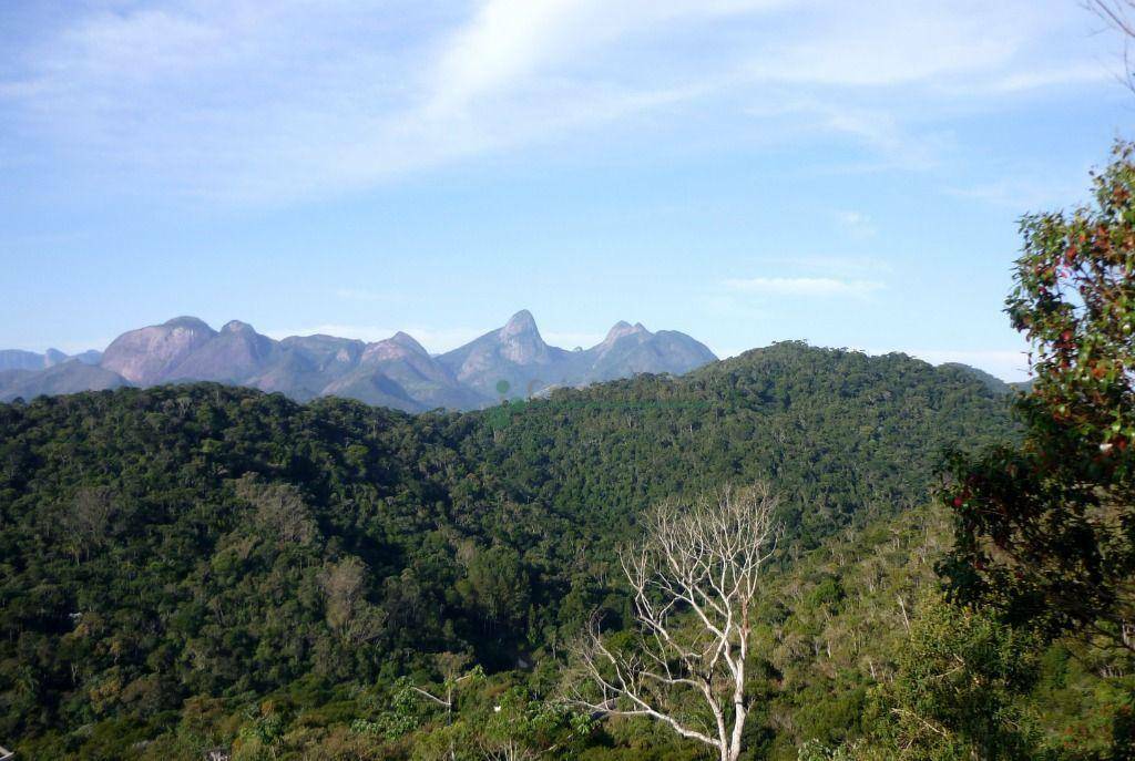 Loteamento e Condomínio à venda, 392M2 - Foto 6