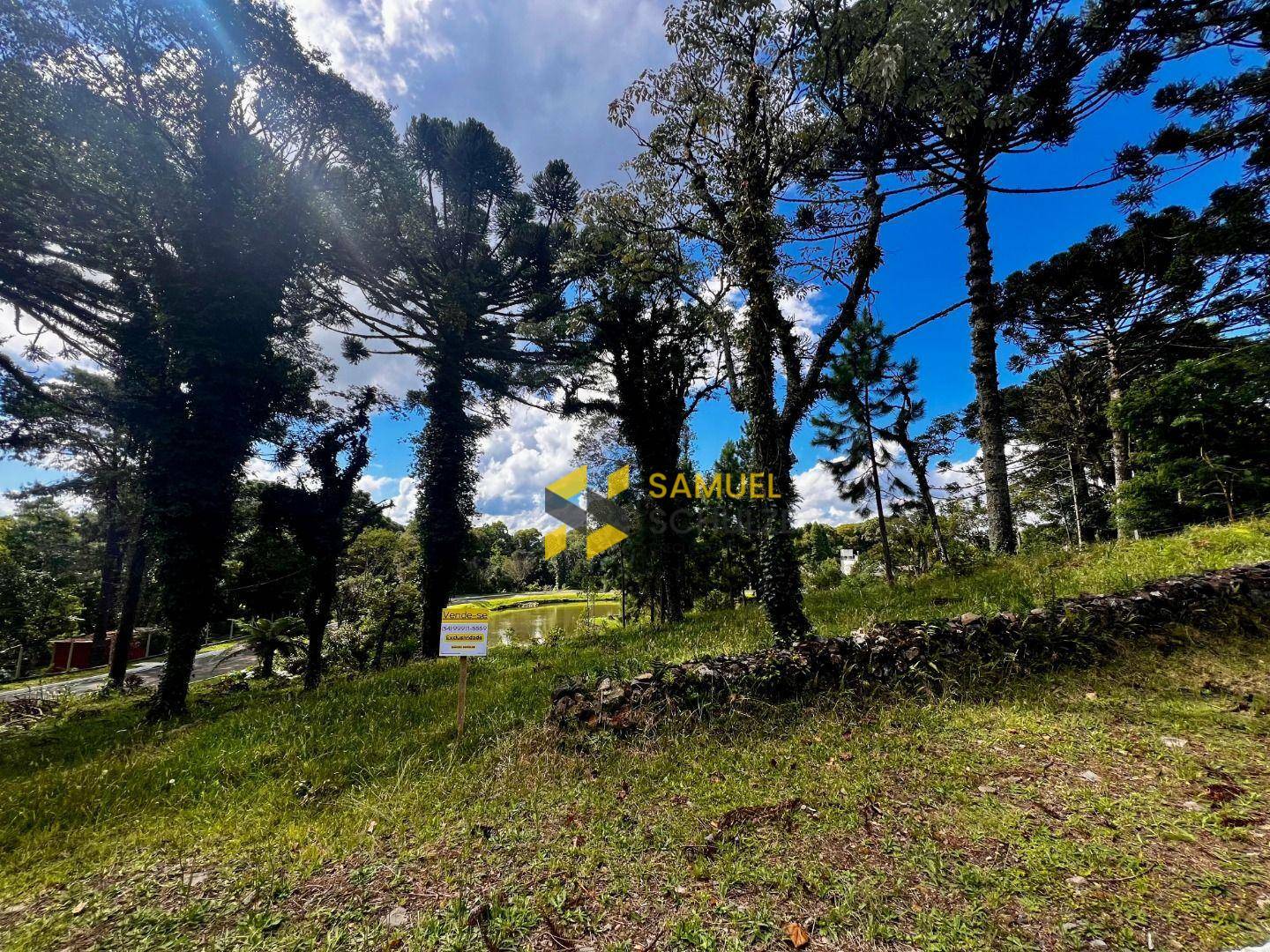 Terreno à venda, 360M2 - Foto 6