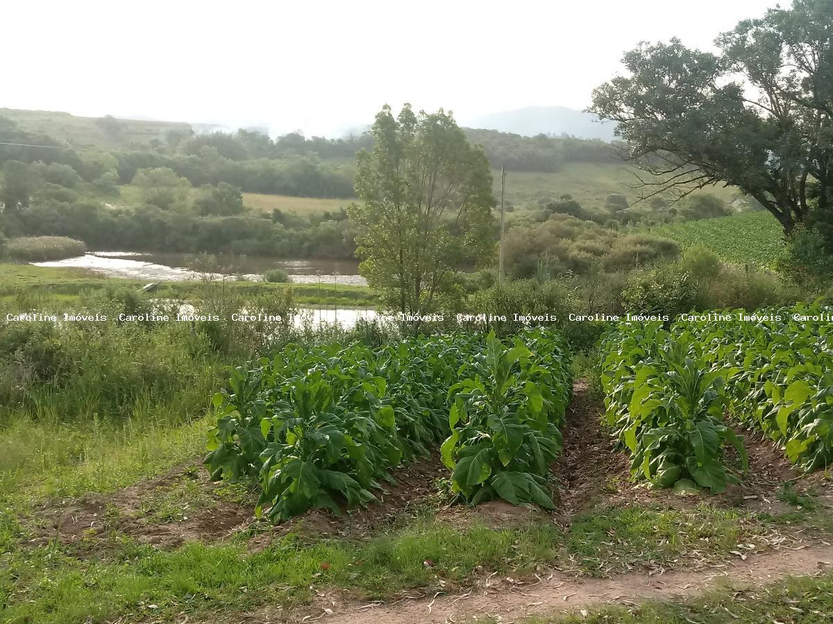 Fazenda à venda com 3 quartos, 60000m² - Foto 33