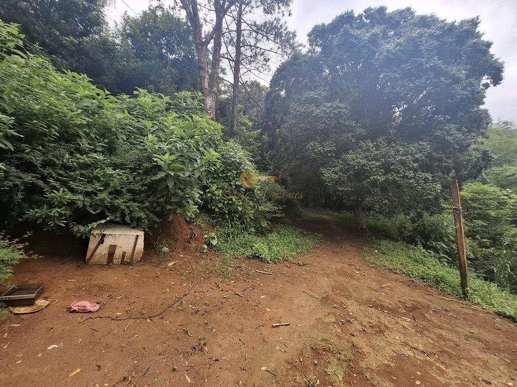 Sítio à venda com 5 quartos, 96800m² - Foto 46