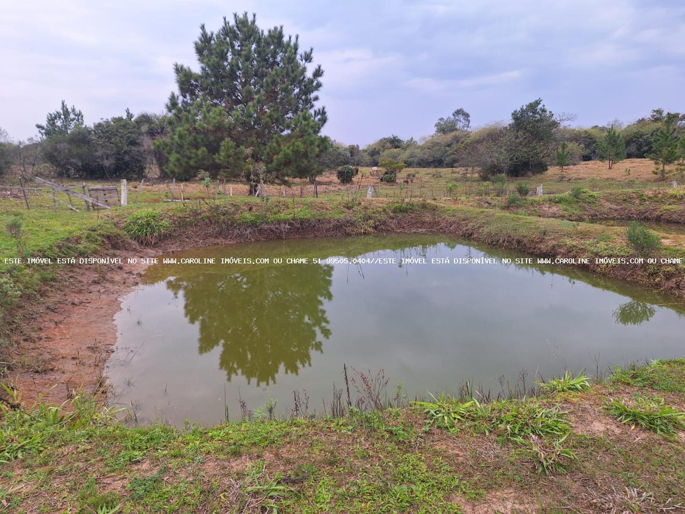 Chácara à venda com 2 quartos, 6790m² - Foto 12