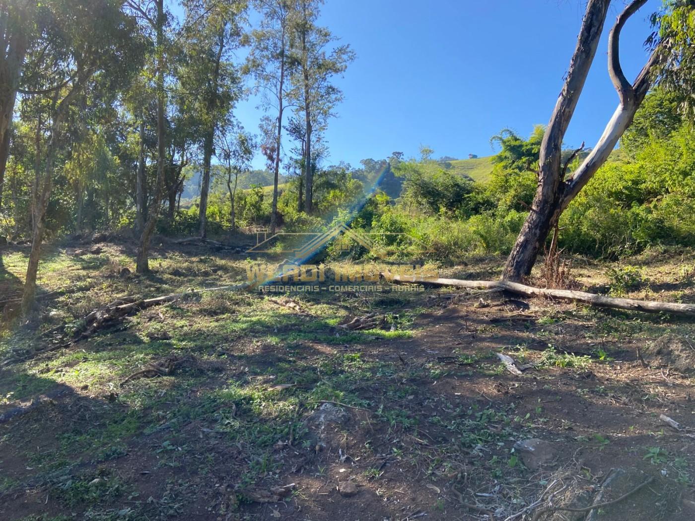 Terreno à venda, 40000m² - Foto 5