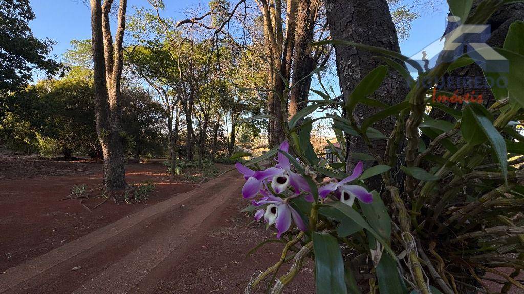 Sítio, 4 hectares - Foto 4