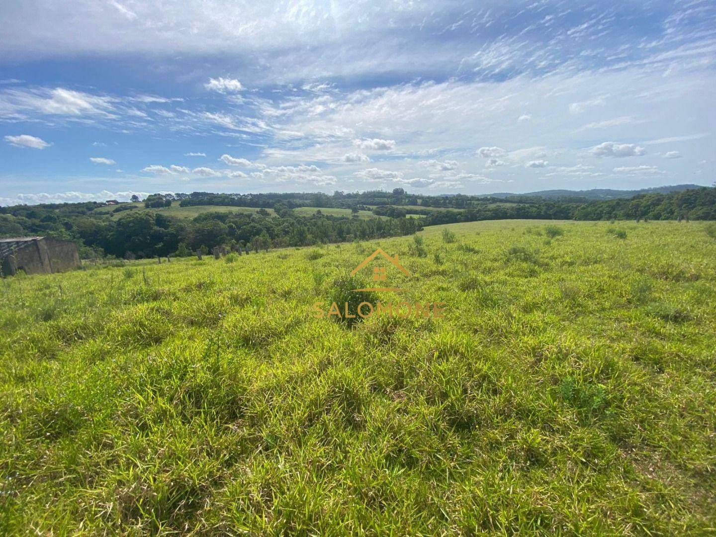 Sítio, 16 hectares - Foto 3