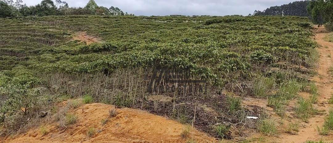 Fazenda à venda, 1452000M2 - Foto 53