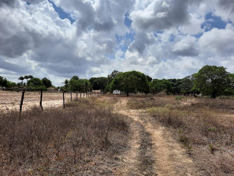 Fazenda à venda com 2 quartos, 14m² - Foto 14