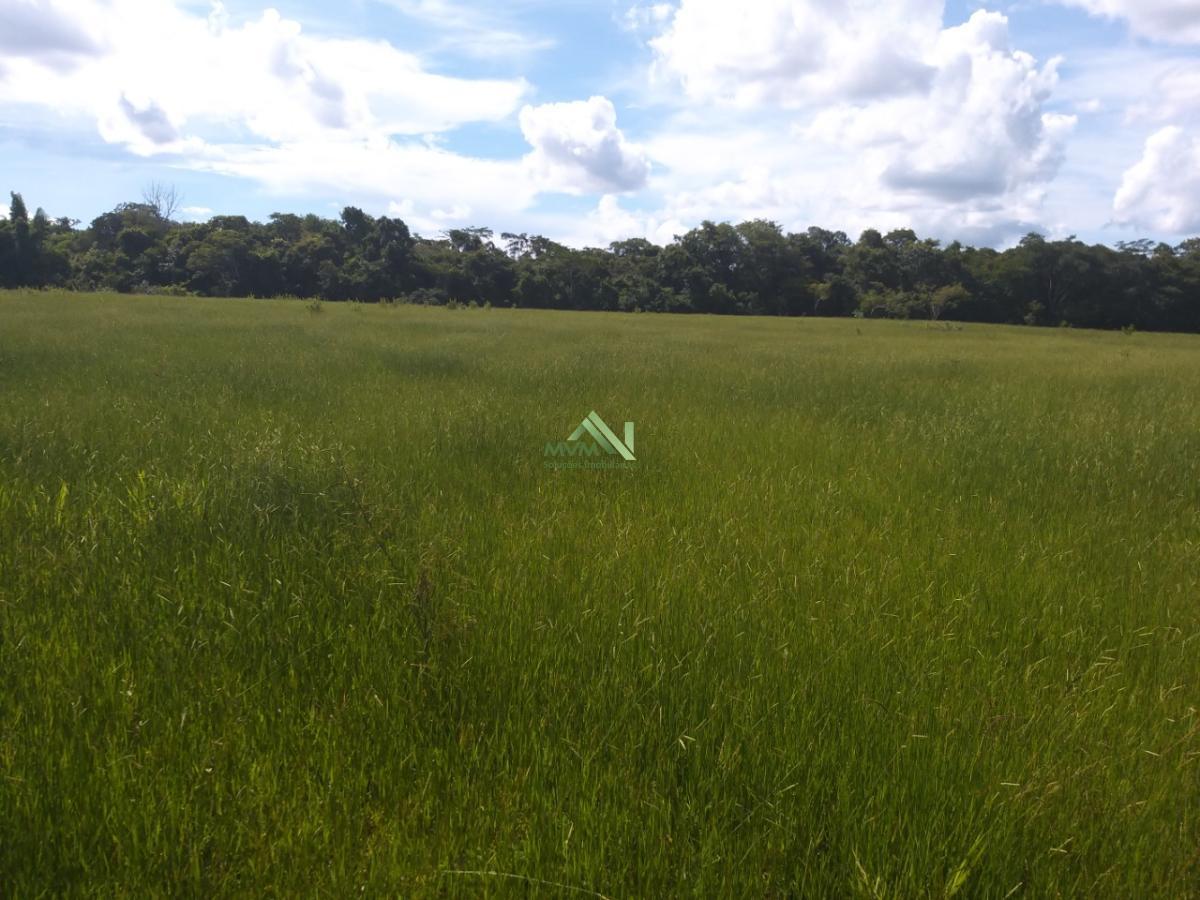 Fazenda à venda com 4 quartos, 430000m² - Foto 28