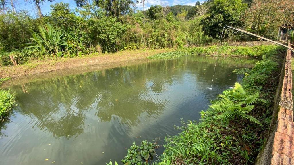 Fazenda à venda com 3 quartos, 12000m² - Foto 60