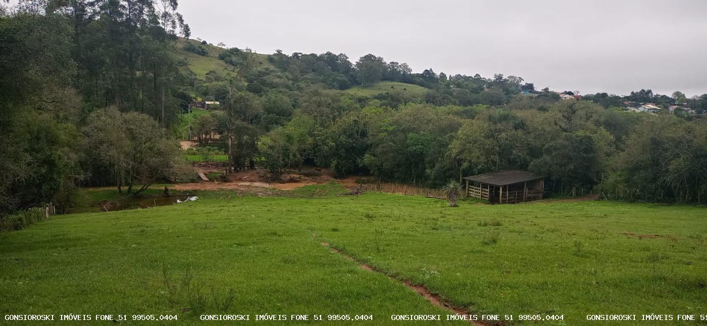 Fazenda à venda com 1 quarto, 18000m² - Foto 26