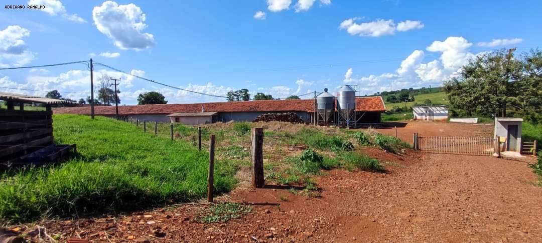 Terreno à venda com 2 quartos, 36300m² - Foto 13