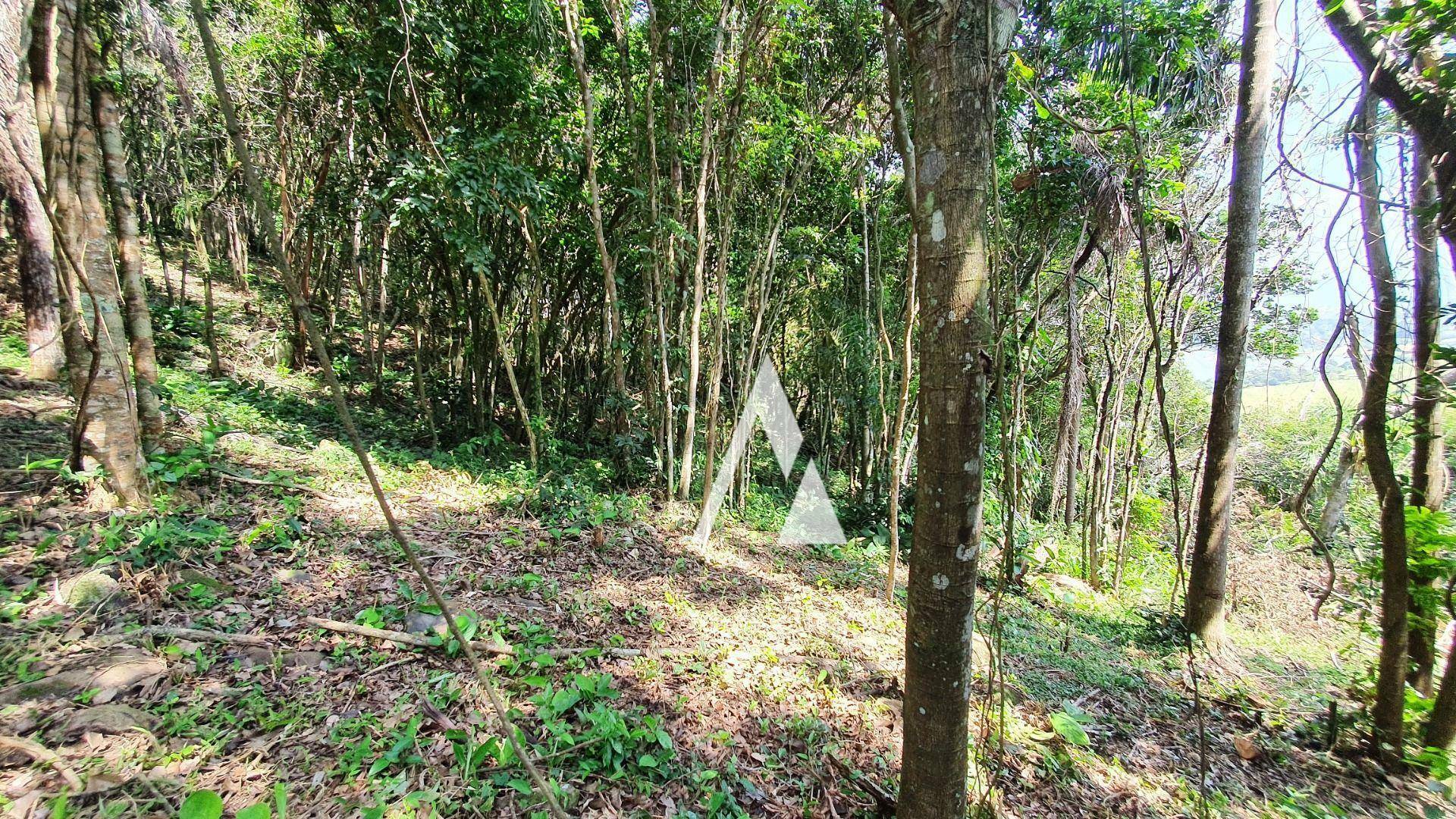 Terreno à venda, 3418M2 - Foto 43