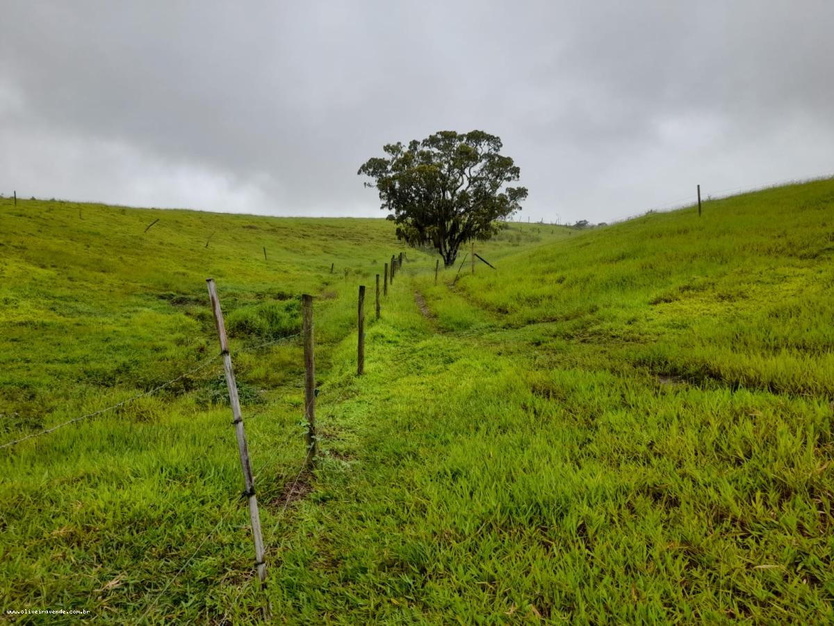 Fazenda à venda com 2 quartos, 61000m² - Foto 18