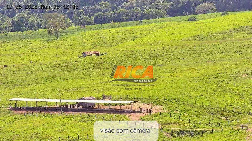 Fazenda à venda, 5000000M2 - Foto 12