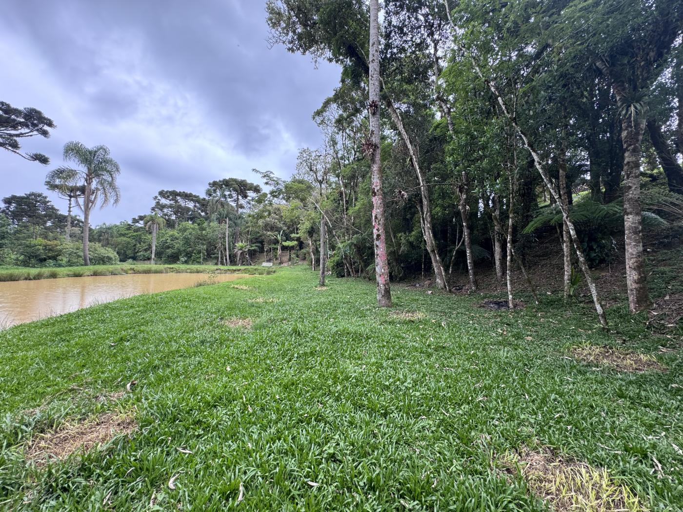Chácara à venda com 4 quartos, 15000m² - Foto 48