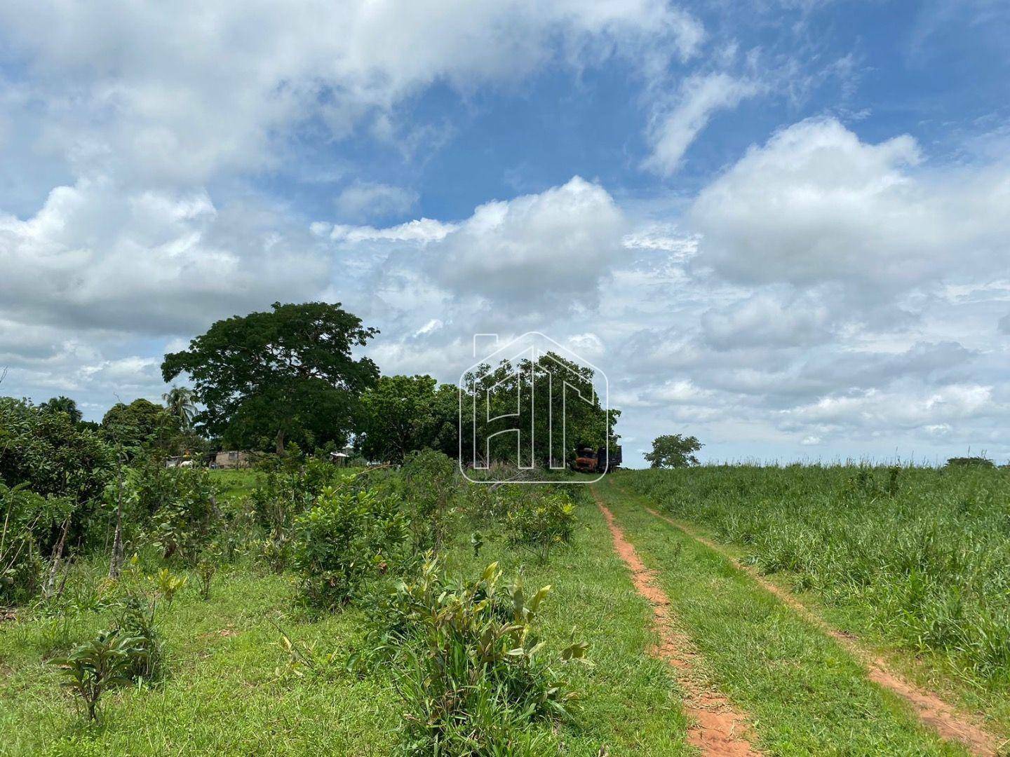 Fazenda à venda com 4 quartos, 40m² - Foto 11