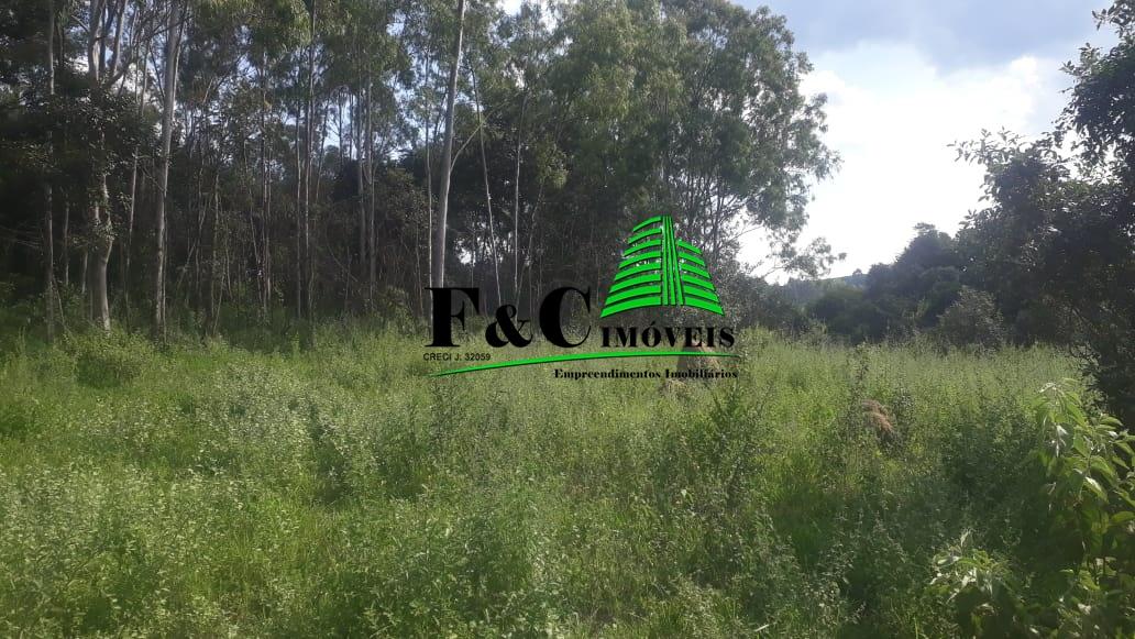 Terreno, 2 hectares - Foto 3