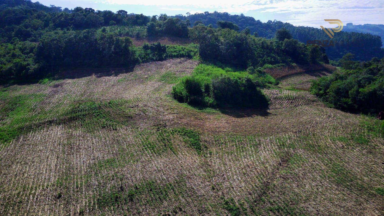 Terreno à venda, 199000M2 - Foto 1