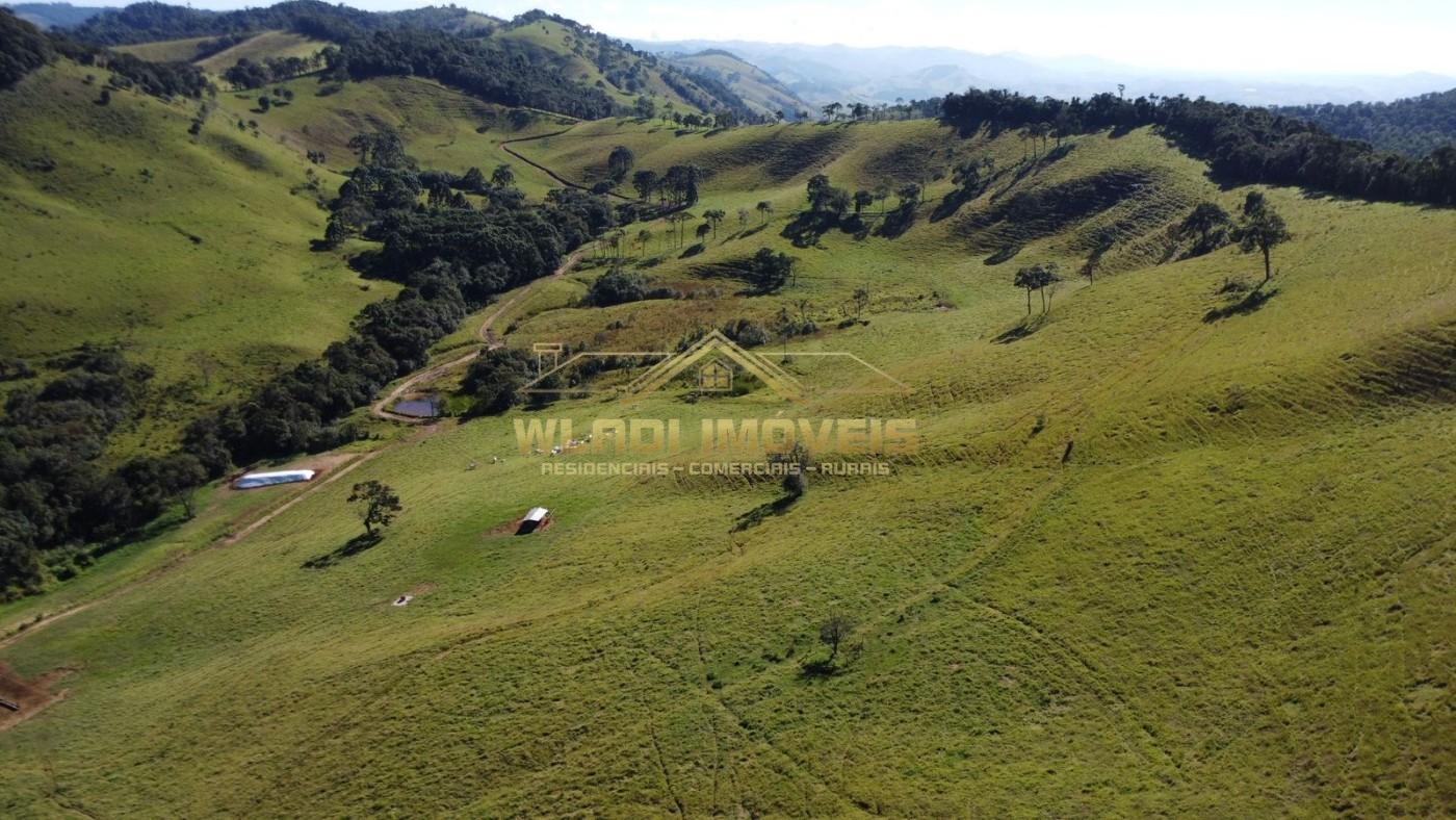 Fazenda à venda, 100m² - Foto 5