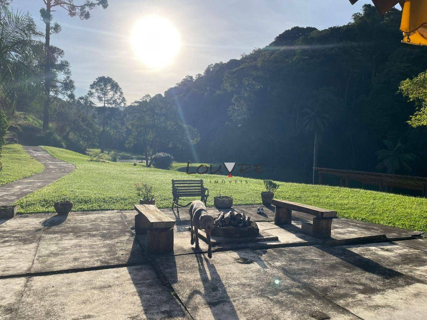 Sítio à venda com 3 quartos, 14000M2 - Foto 22