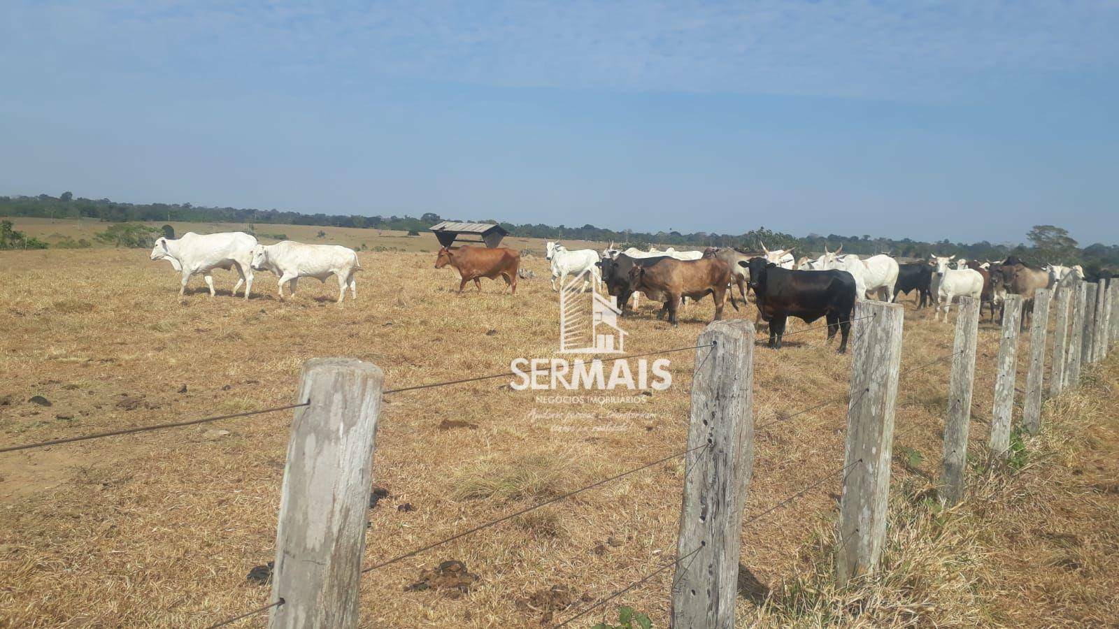 Fazenda à venda, 157650000M2 - Foto 13